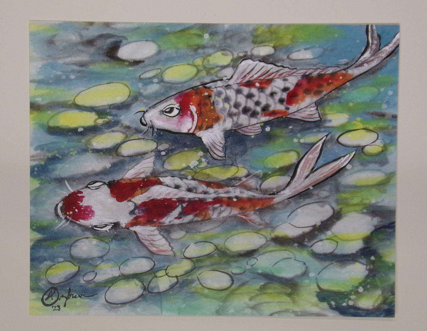 Koi